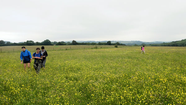 field